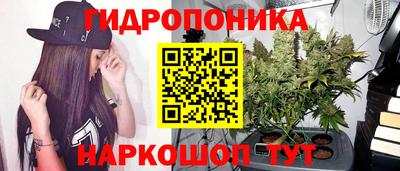 PSILOCYBIN Кингисепп