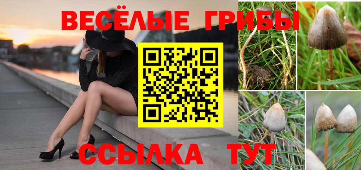 Ялта  Галлюциногенные грибы Magic Shrooms  Вход с VPN 